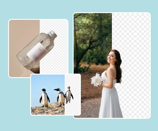 Background removal use cases