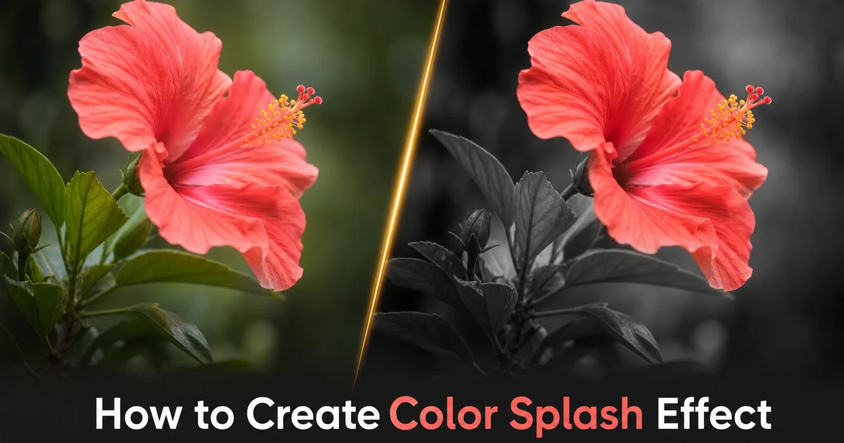 How to Create Color Splash Effect with AI — Magic Eraser