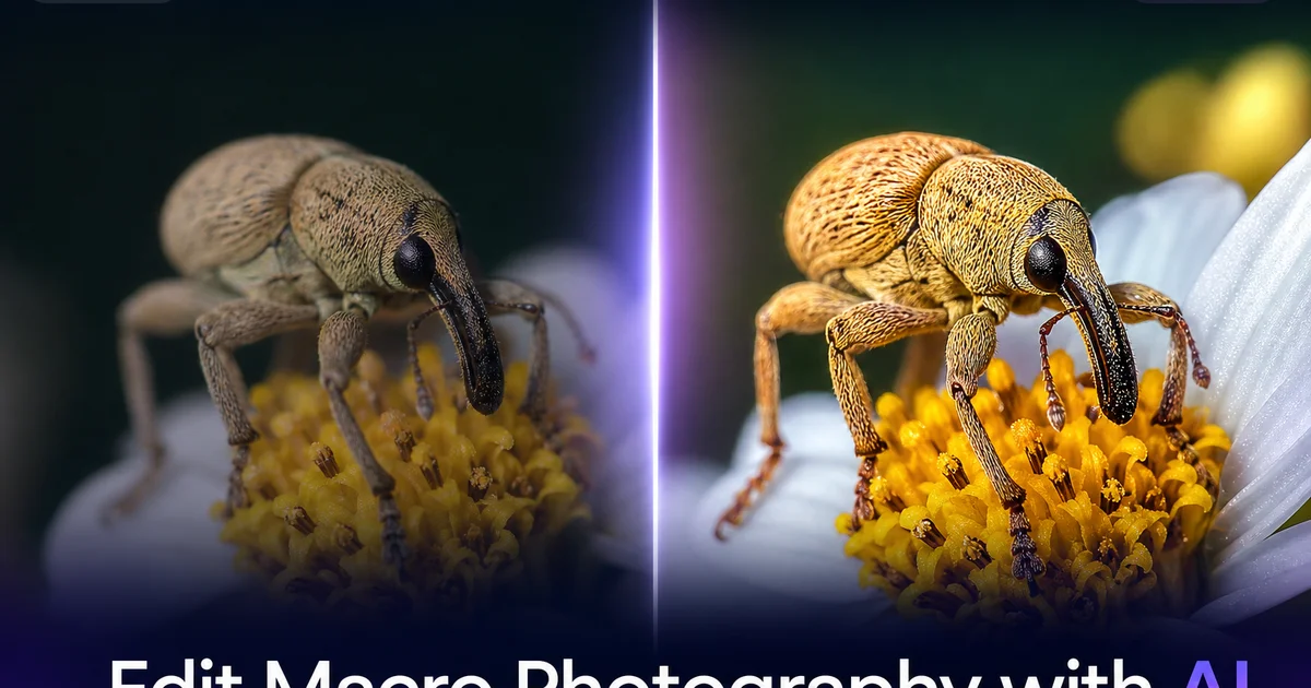 How to Edit Macro Photography with AI: Focus, Detail, and Background Cleanup