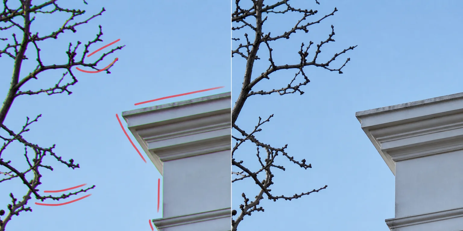 Before and after photo showing purple and green edge fringing brushed and removed from branches and a building edge
