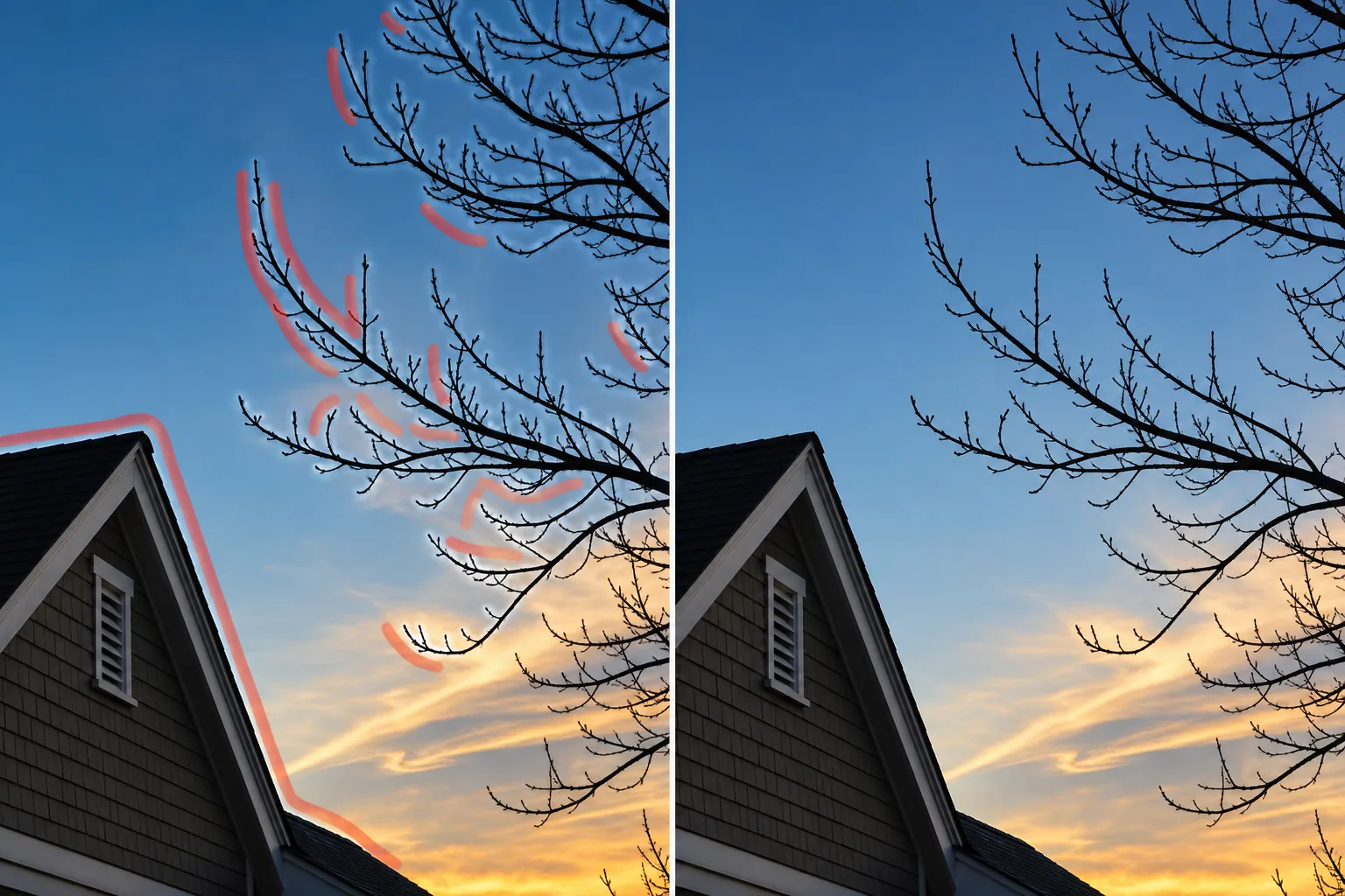 Before and after roofline photo showing brushed edge halos removed from branches and sky